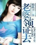 老婆大人有点冷漫画