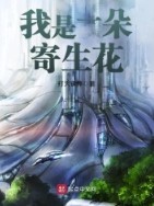 我是一朵梅花纯音乐加长版